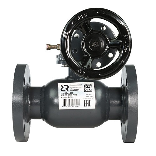 Кран шаровой Ридан RJiP Premium FF WG DN 600 PN 16 стальной стандартнопроходный фланцевый с ручным редуктором