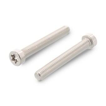 ISO 14580 (DIN 7984) A2 M 2X14 TX6 Винт низкая цилиндр/гол. шестирадиусный шлиц TORX