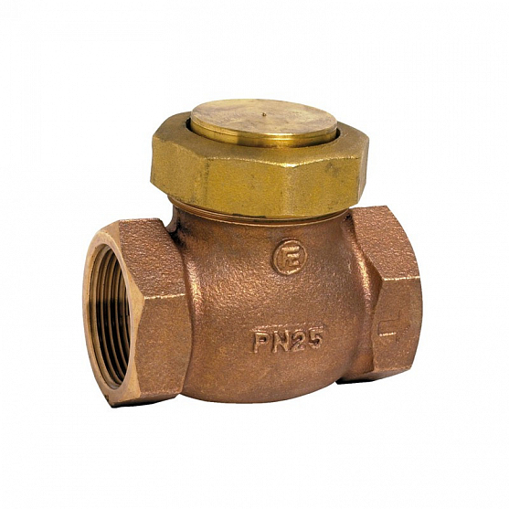 Клапан Tecofi CS2143 1" обратный подъемный резьбовой PN 25